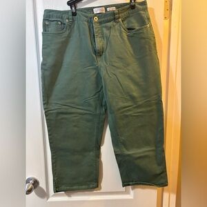 Northern Reflection Size 16 Cropped Pants